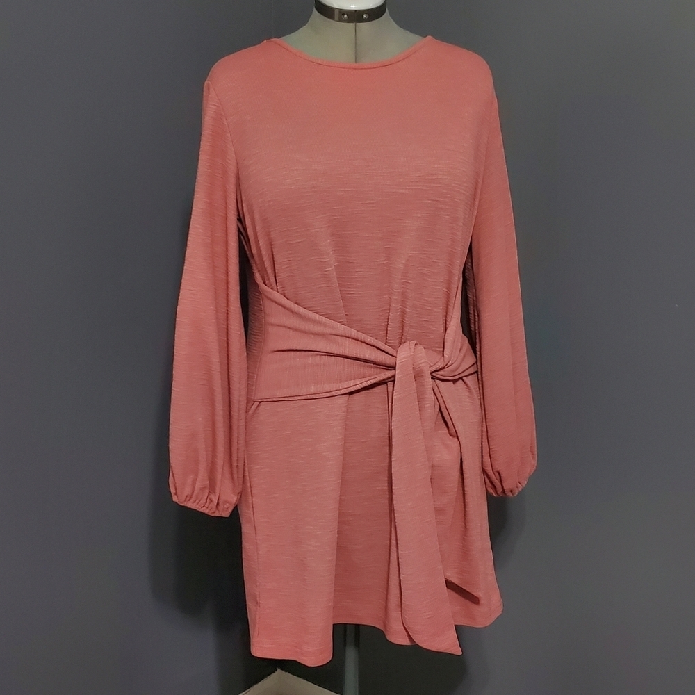 Pink R Vivimos Sheath Dress Tie Waist Long puff sleeves.